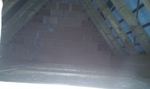 IMAG0139.jpg