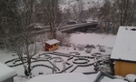 IMAG0174.jpg